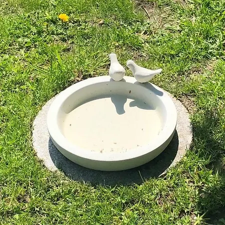 Ostseeferien In Barth; 